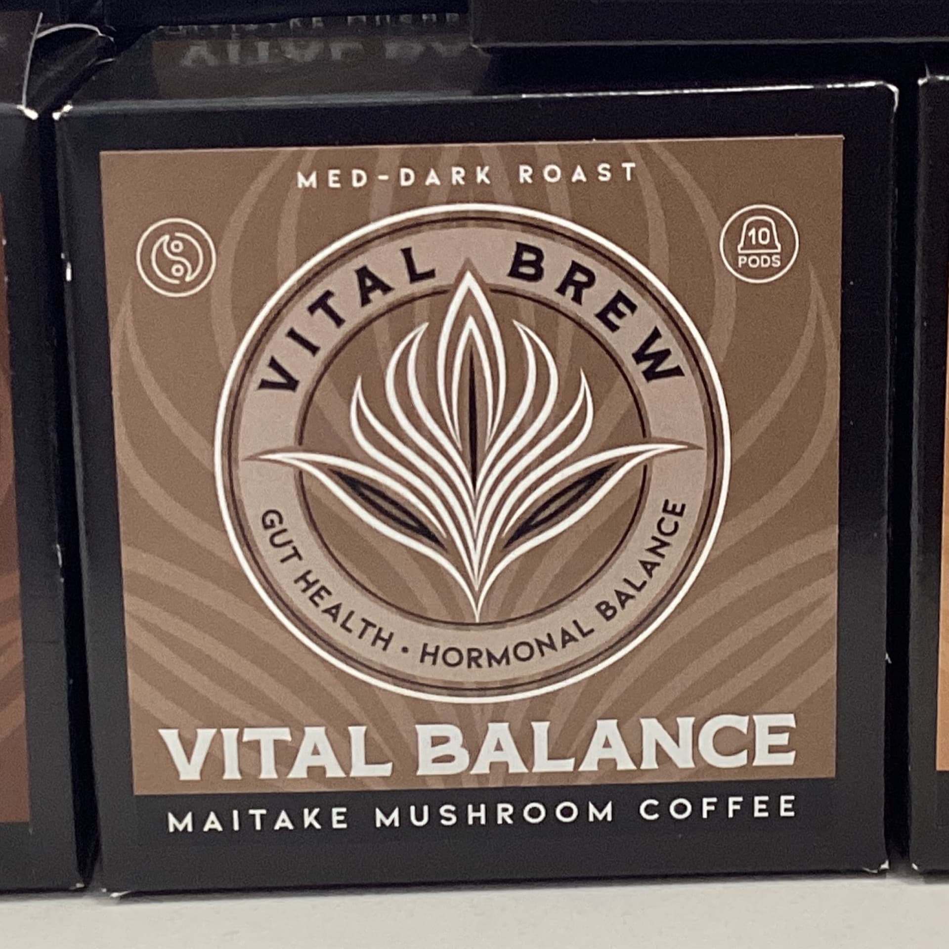 Vital Brew - Maitake